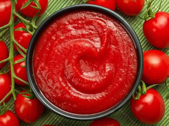 ÖNCÜ Tomato Ketchup Orontes Grocery